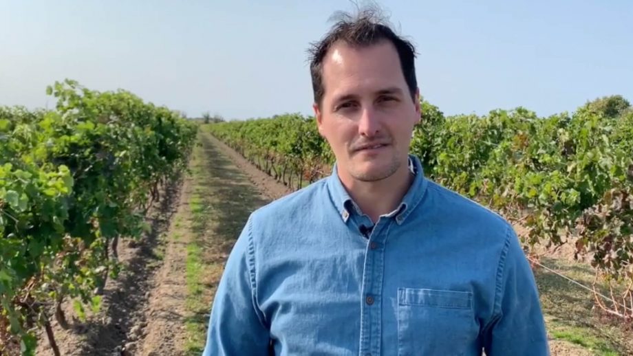 Kristopher Bowman standing in a vineyard in Niagara